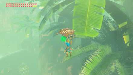 Tropical Vantage Point