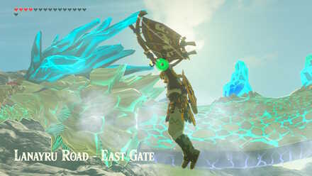 How to free naydra