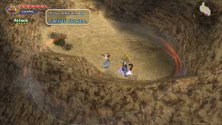 cactus flower obtained