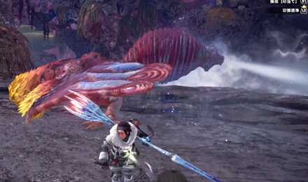 How to Beat - Coral Pukei-Pukei 2.png