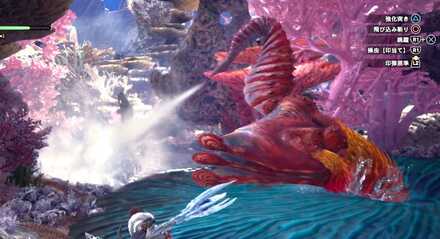 How to Beat - Coral Pukei-Pukei 3.png