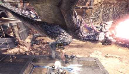 How to Beat - Yian Garuga 3.png