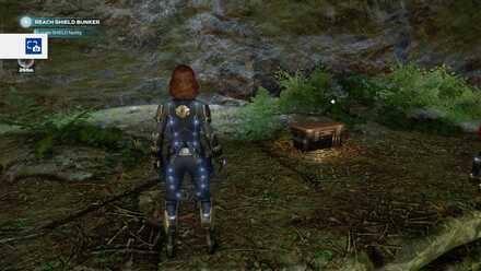 Avengers Forest Vault 07