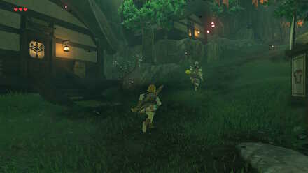 The Legend of Zelda Breath of the Wild (BotW) Following Pikango