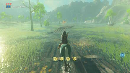 The Legend of Zelda Breath of the Wild (BotW) Passing Through Lanayru Wetlands
