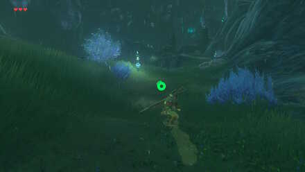 The Legend of Zelda Breath of the Wild (BotW) Ruto Mountain