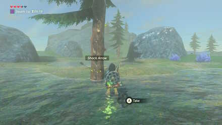 The Legend of Zelda Breath of the Wild (BotW) Collecting Shock Arrows