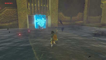 The Legend of Zelda Breath of the Wild (BotW) Using Cyronisis to Prop Up Gate