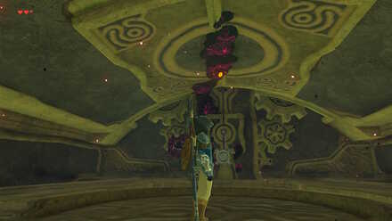 The Legend of Zelda Breath of the Wild (BotW) Shoot Eyeball on Ceiling