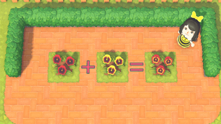 ACNH - Flowers needed to grow Orange Pansy