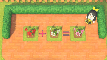 ACNH - Flowers needed to grow Pink Lily