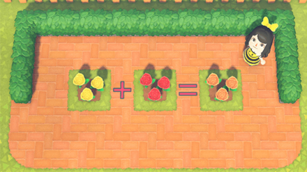 ACNH - Flowers needed to grow Orange Rose