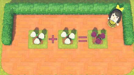 ACNH - Flowers needed to grow Purple Rose