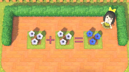 ACNH - Flowers needed to grow Blue Windflower