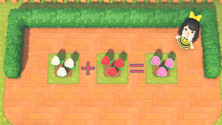 ACNH - Flowers needed to grow Pink Rose