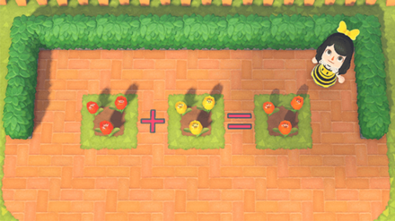 ACNH - Flowers needed to grow Orange Tulip