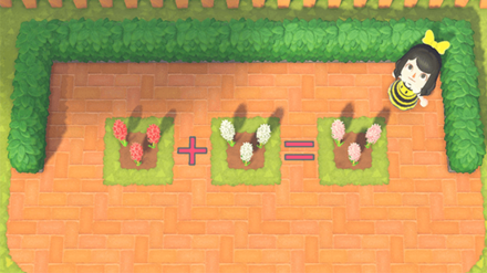 ACNH - Flowers needed to grow Pink Hyacinth