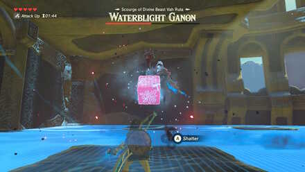 The Legend of Zelda Breath of the Wild (BotW) Waterblight Ganon Ice Block