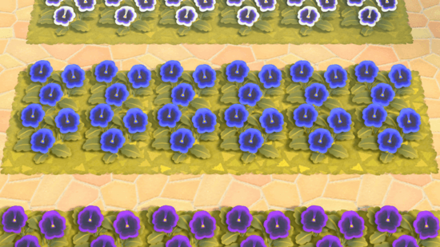 Animal Crossing New Horizons (ACNH) Blue Pansy