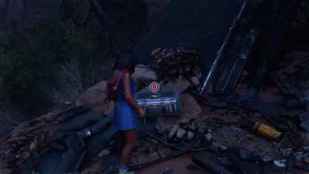 To Stand Alone Chest C.jpg