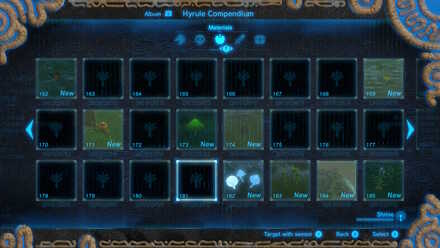 Zelda Breath of the Wild] All NEW DLC Item Locations! 