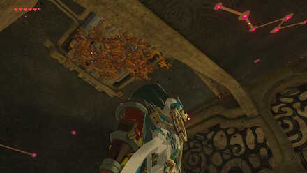 The Legend of Zelda Breath of the Wild (BotW) Leaves on Ceiling