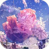 Coral Highlands Image