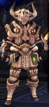 Bone Beta Armor Set