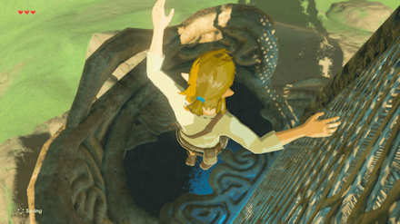 Botw - Get Down from the Tower