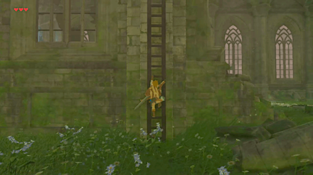 BotW - Climb the Ladder on the side of the Temple