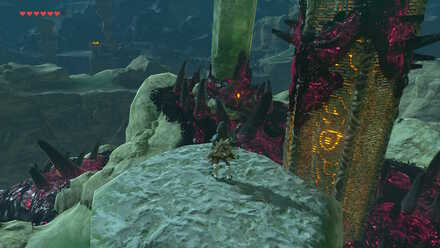 The Legend of Zelda Breath of the Wild (BotW) Destroying Eyeball at Tabantha Tower