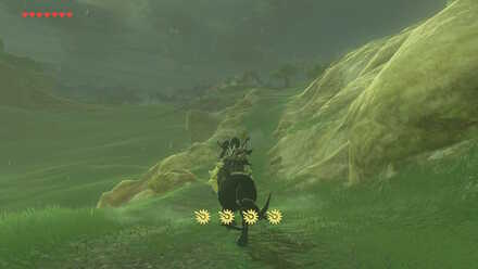 The Legend of Zelda Breath of the Wild (BotW) Safula Hill