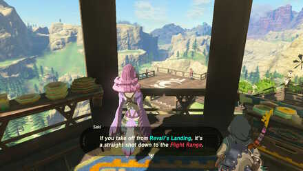 The Legend of Zelda Breath of the Wild (BotW) Talking to Saki