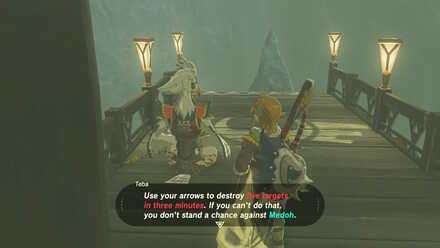 The Legend of Zelda Breath of the Wild (BotW) Teba