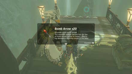 The Legend of Zelda Breath of the Wild (BotW) Receiving Bomb Arrows from Teba