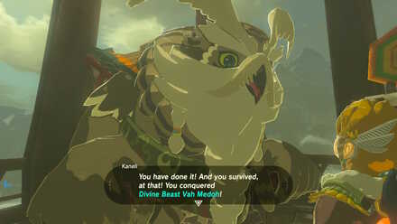 The Legend of Zelda Breath of the Wild (BotW) Reporting to Kaneli