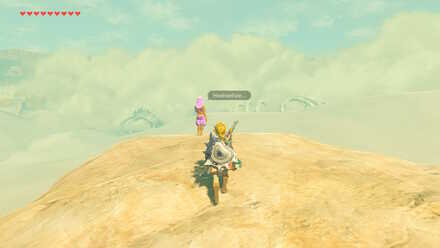 The Legend of Zelda Breath of the Wild (BotW) Villia