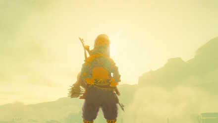 The Legend of Zelda Breath of the Wild (BotW) Gerudo Outfit