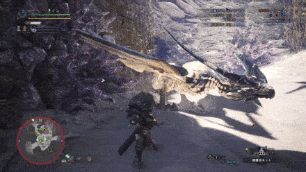 How to Beat - Legiana 1.gif