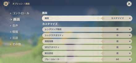 Changing Graphics Settings.jpeg