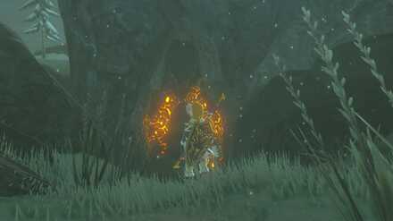 Shada Naw Shrine (BotW) - Overworld View