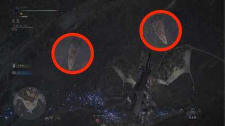 How to Beat - Arch-Tempered Vaal Hazak 2.png