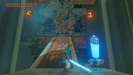 Mogg Latan Solution 10