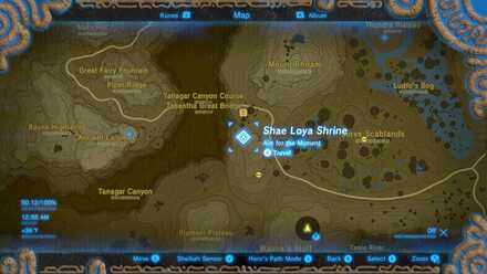Shae Loya Map
