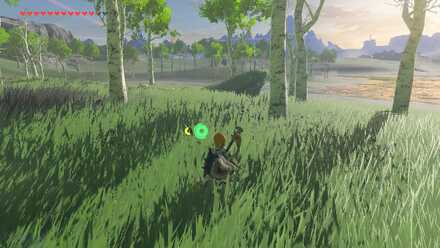 The Legend of Zelda Breath of the Wild (BotW) Lake Kolomo Memory Location