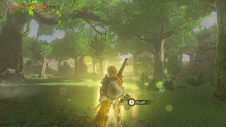 The Legend of Zelda Breath of the Wild (BotW) Recall Photo 12