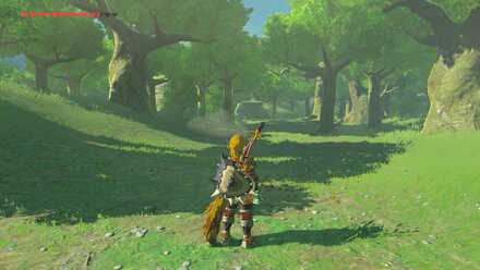 The Legend of Zelda Breath of the Wild (BotW) Hyrule Field forest entrance