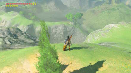 The Legend of Zelda Breath of the Wild (BotW) Photo 7 location below