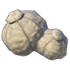 Big Hearty Truffle Image