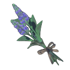 Breath of the Wild Cool Safflina